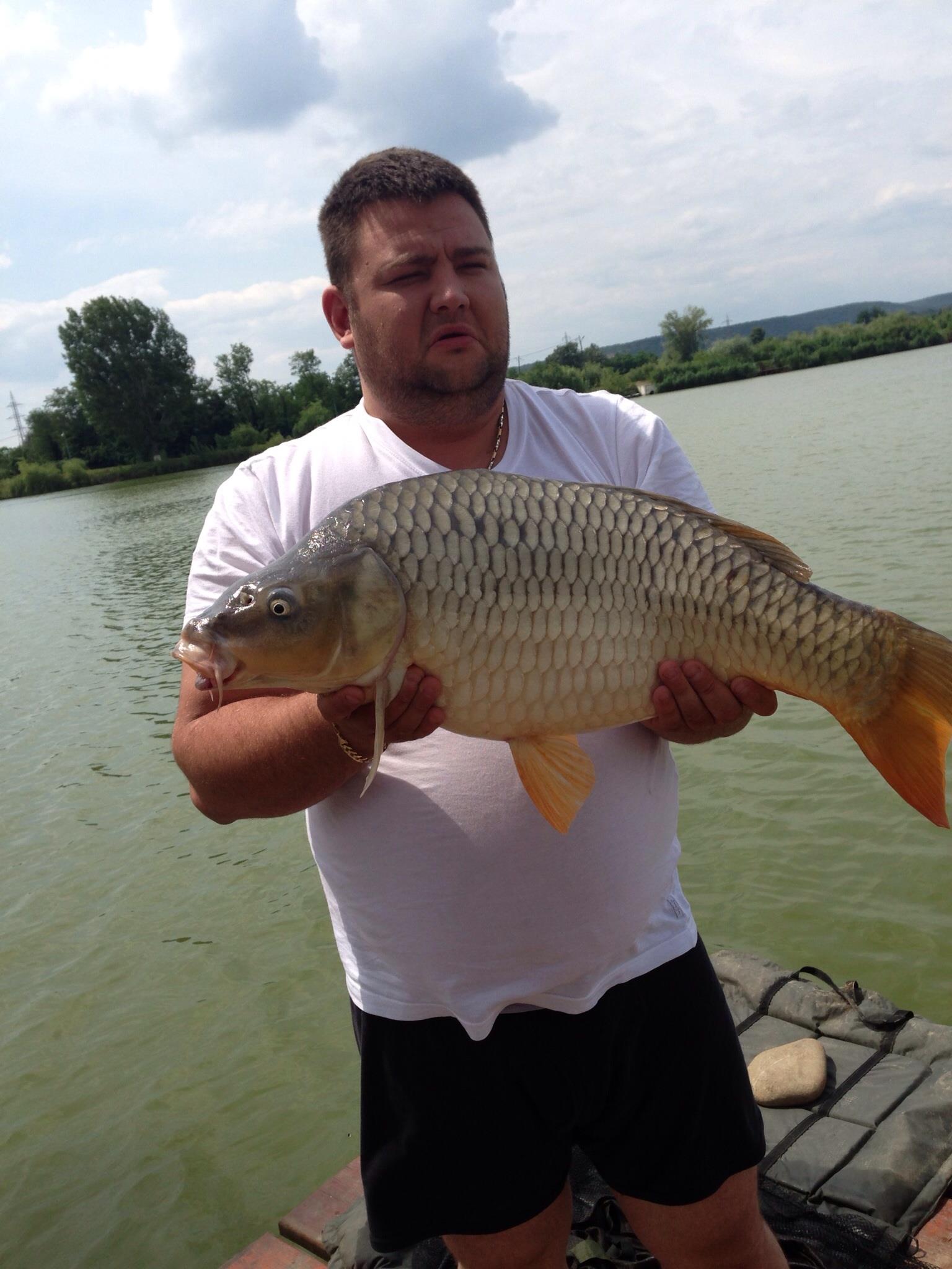 Pleasa 2013 - image111111111.jpg